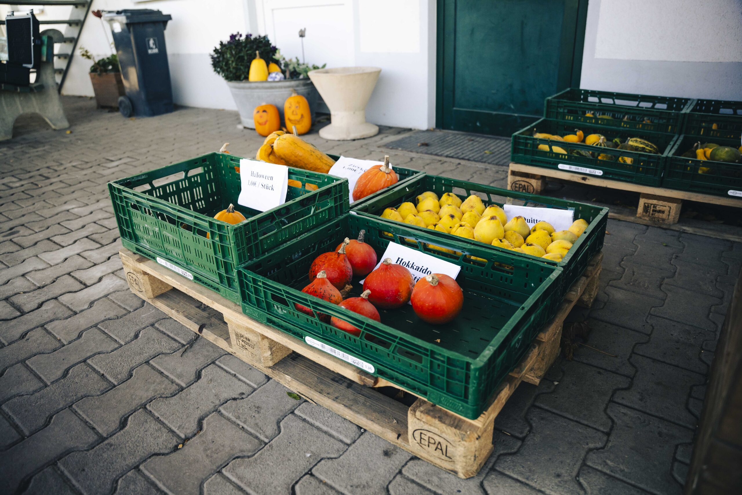 24 Stunden Selbstbedienung von Gemüse in Kissing